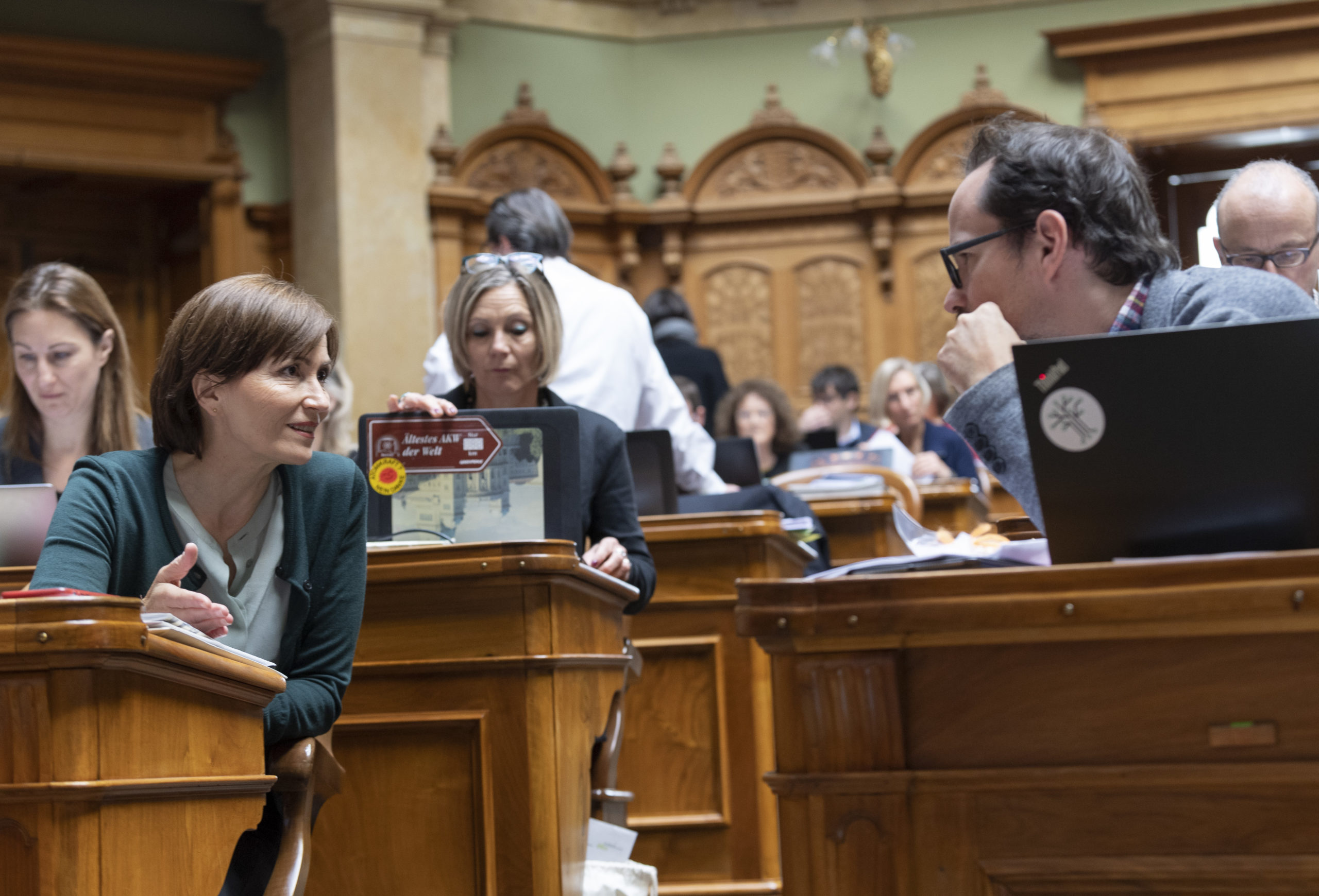 Grüne im Parlament